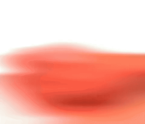 DIGESTIÓN LIGERA Y SIN HINCHAZÓN | PACK FIBRAS Y PROBIÓTICOS